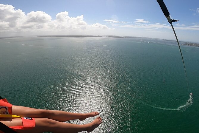 Bradenton Beach Small-Group Parasailing Tour  - Sarasota - Inclusions