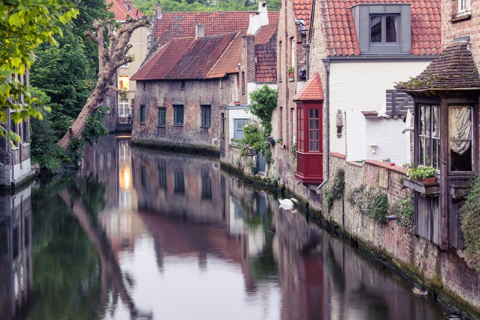 Bruges: Christmas Market Private Walking Tour - Multilingual Live Tour Guides Available