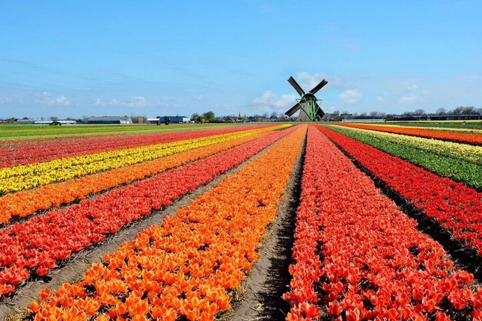 Brussels: Keukenhof, Tulips, and Delft Day Trip - Key Experiences