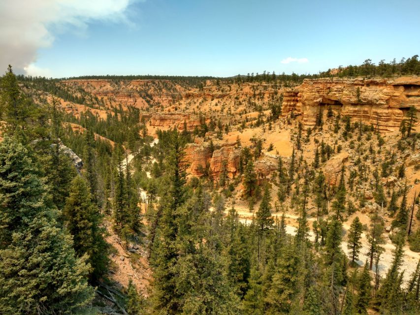 Bryce Canyon City: Red Canyon Horse Riding Day Trip W/ Lunch - Restrictions