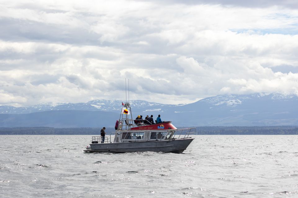 Campbell River: Spring Bear Watching & Waterfalls Boat Tour - Tour Inclusions