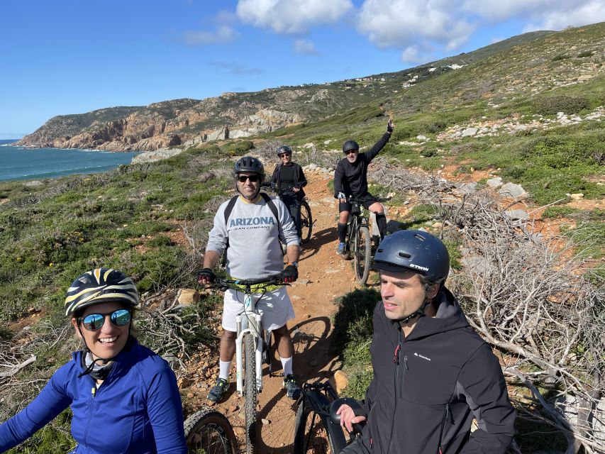 Cascais-Sintra E-bike Tour: Coast & Countryside Adventure - Tour Experience