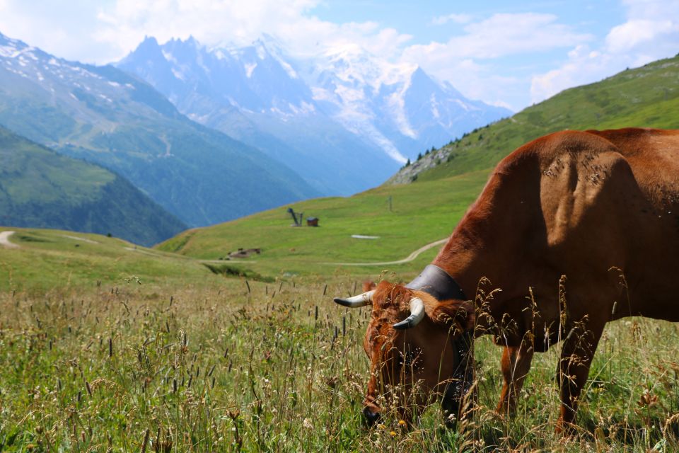 Chamonix and Aravis Local Tour - Experience Highlights