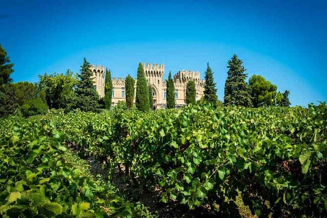 Chateauneuf Du Pape Wine Tour - Traveler Experience