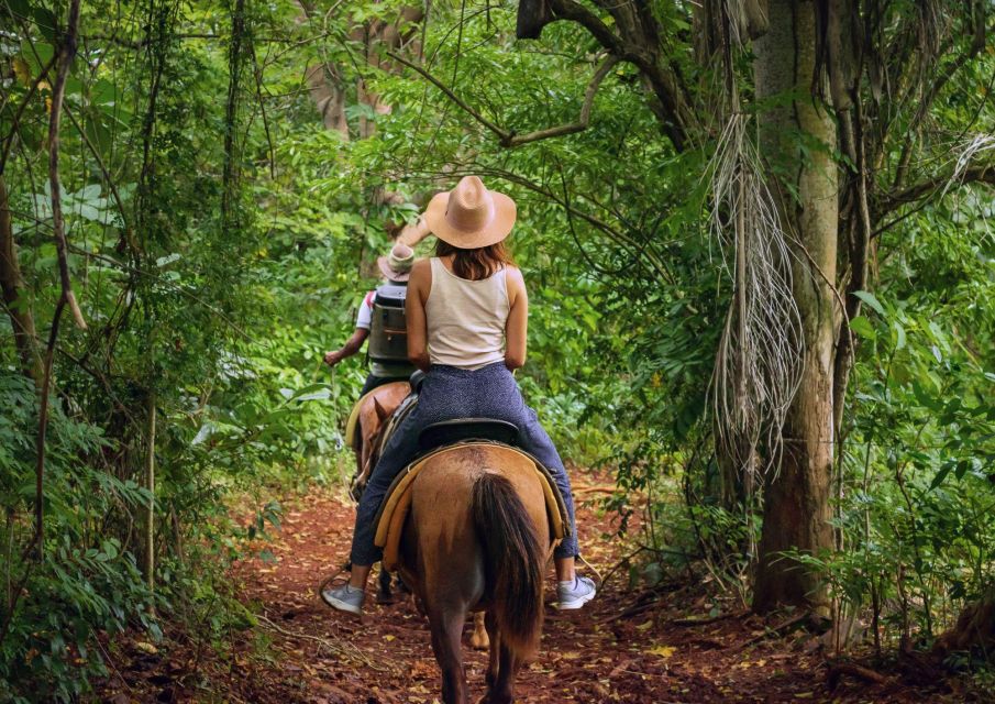 Cruseilles: Horseback Riding in the Countryside - Experience Highlights