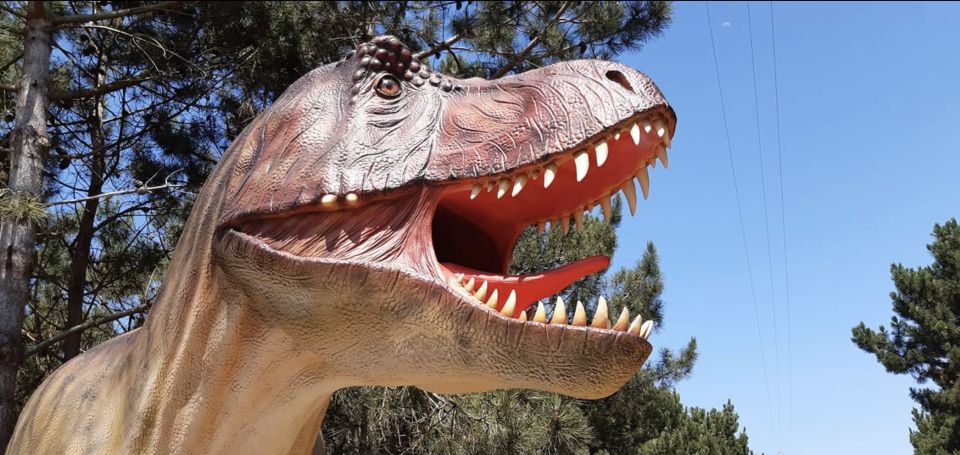 Dinosaurs Park - Family Half Day Tour - Itinerary Highlights