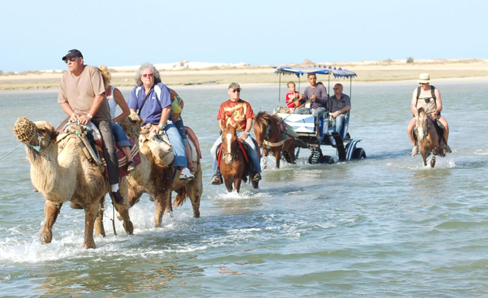 Djerba: Horse and Camel Combo Caravan Tour - Duration, Languages, and Inclusions