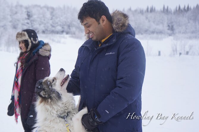 Dog Sled Adventure - Logistics