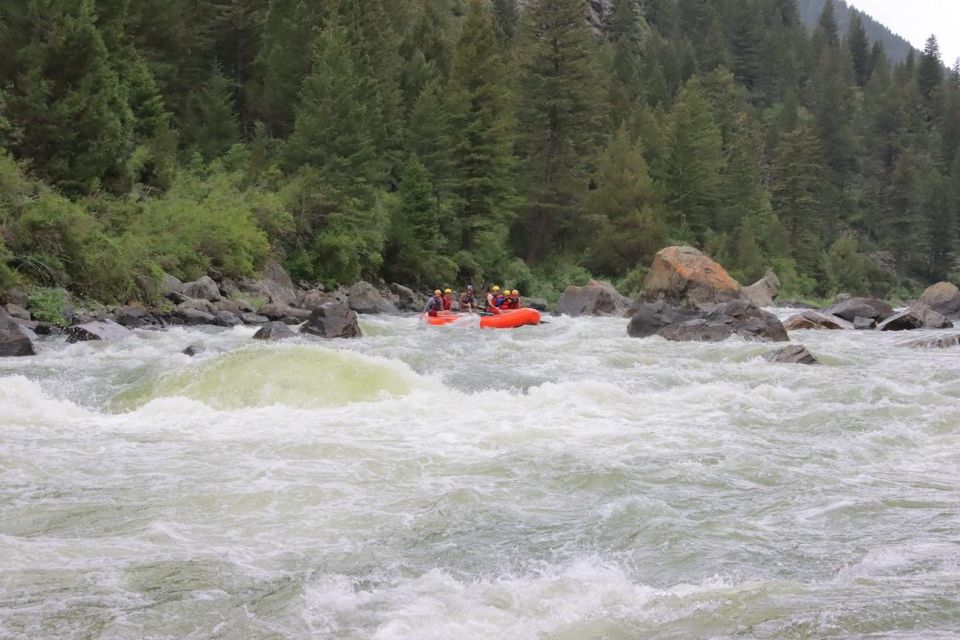 Ennis MT: Exclusive Raft Trip Through Beartrap Canyonlunch - Experience Highlights