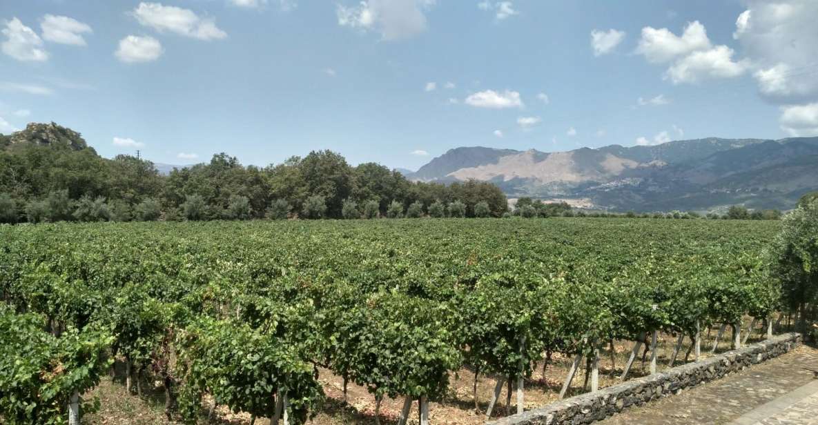 Etna: Wine Tasting and Food Tour - Activity Highlights