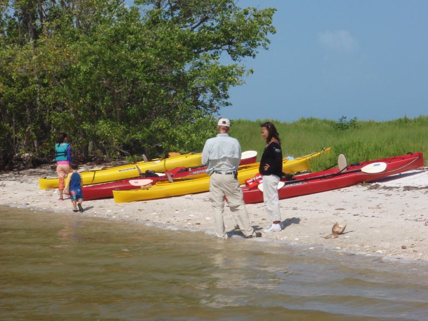 Everglades National Park: Boat Assisted Kayak Eco Tour - Experience Highlights