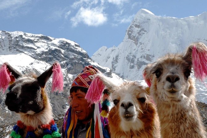 Excursion to Rainbow Mountain Palcoyo From Cusco. - Excursion Details