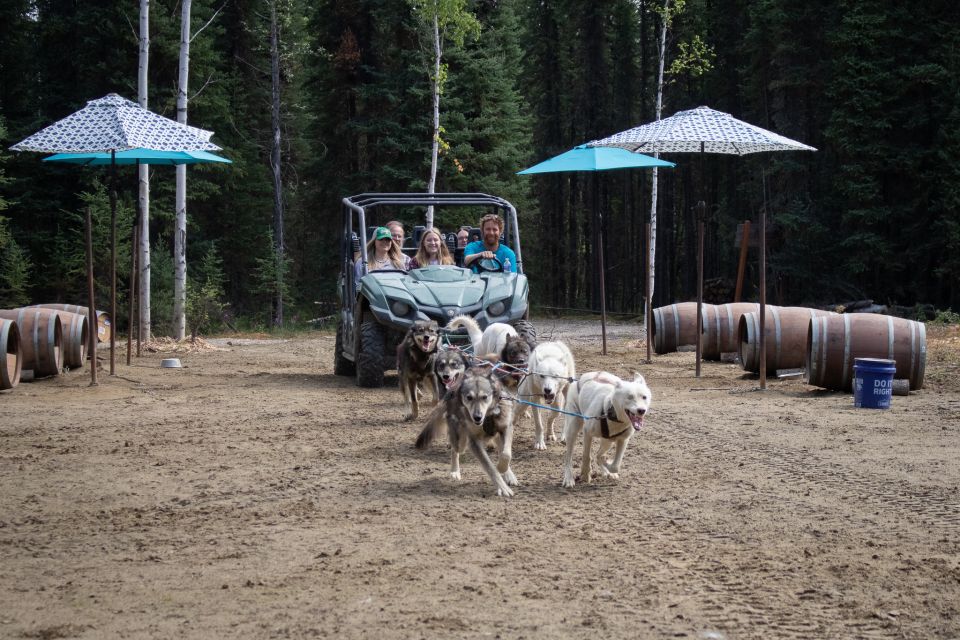 Fairbanks: Summer Mushing Cart Ride and Kennel Tour - Experience Highlights