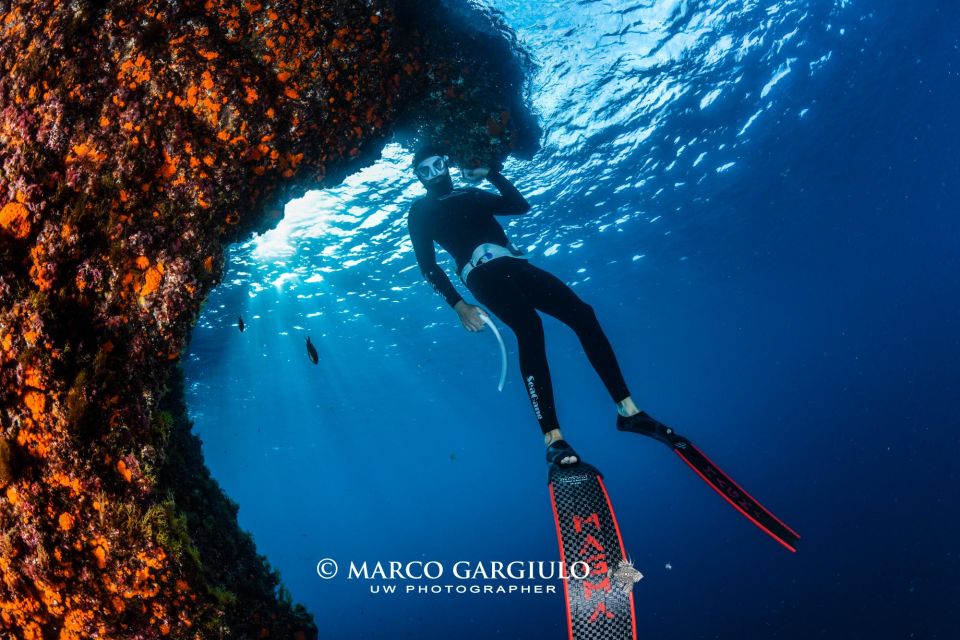 Freediving in the Wild of the Amalfi Coast/Capri/Sorrento: - Activity Description