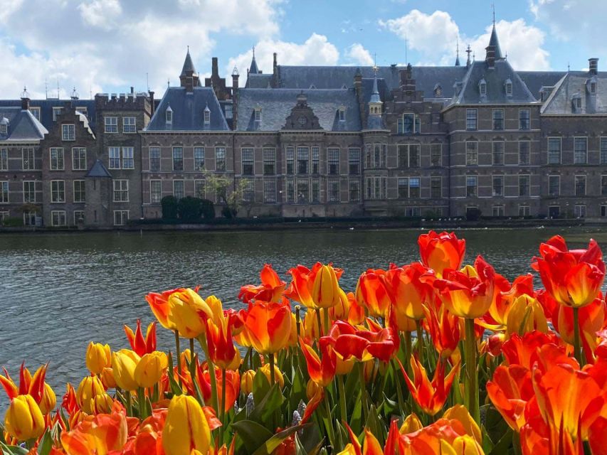 From Amsterdam: Guided Trip to Rotterdam, Delft & The Hague - Tour Highlights