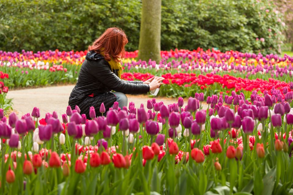 From Amsterdam: Keukenhof Flower Park Transfer With Ticket - Experience