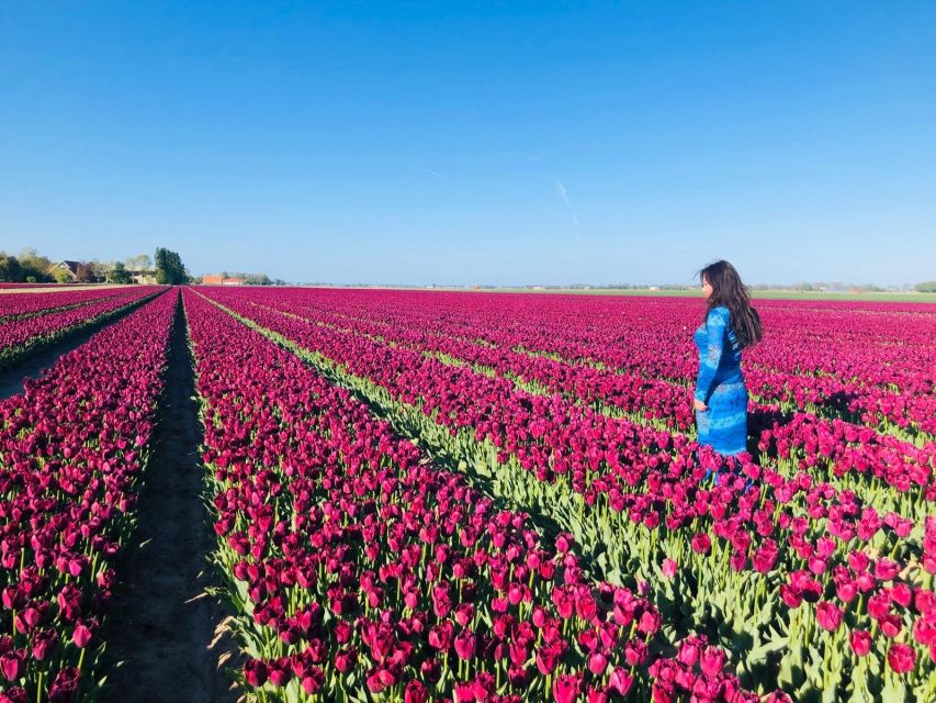 From Amsterdam: Tulip Tour Keukenhof & City Tour Delft - Inclusions and Exclusions
