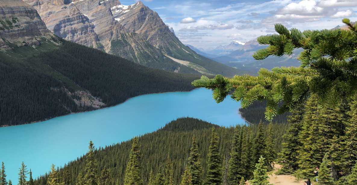 From Calgary: Icefields Parkway Route Tour W/Hotel Transfers - Tour Duration and Language