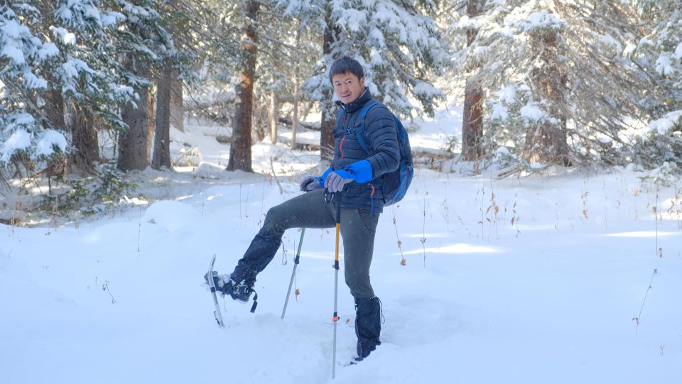 From Denver: Snowshoeing in Rocky Mountains - Activity Highlights and Description