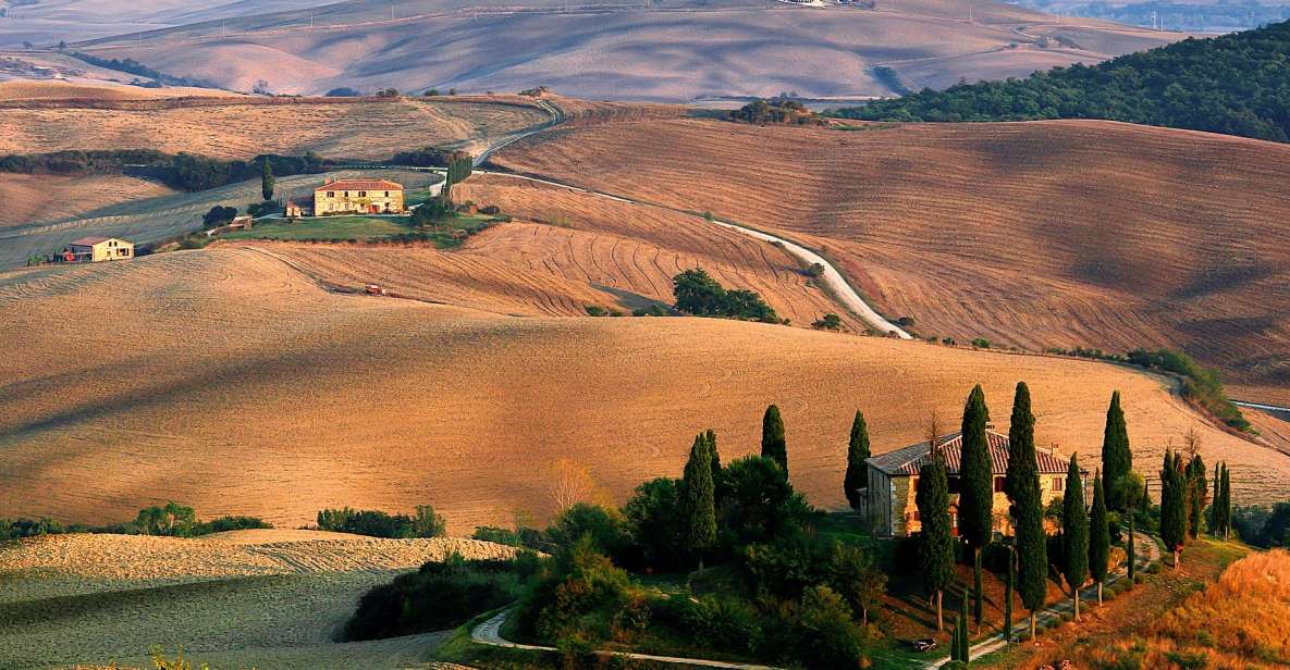 From Florence: Val D'Orcia Full-Day Wine Tasting Tour - Tour Details