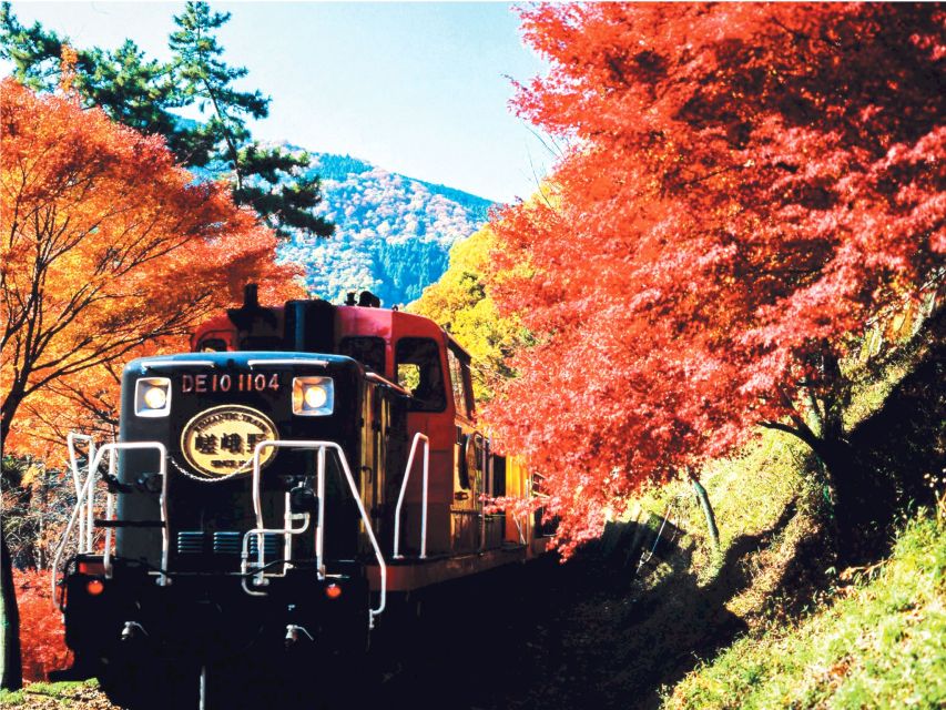 From Kyoto: Sagano Train Ride and Guided Kyoto Day Tour - Highlights of the Tour