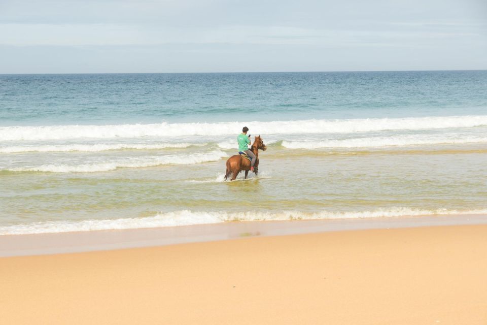 From Lisbon: Horseback Riding on Comporta Beach - Booking Information