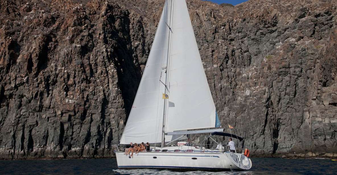 From Los Gigantes: Whale Watching Sailboat Cruise - Language Options and Group Size