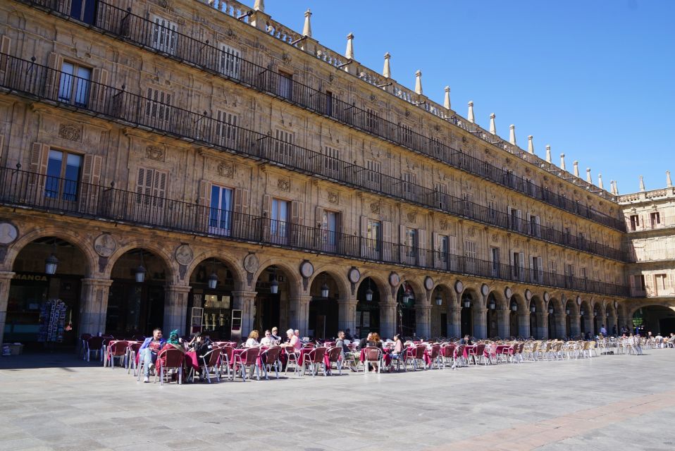 From Madrid: Day Trip to Salamanca With Private Tour - Experience