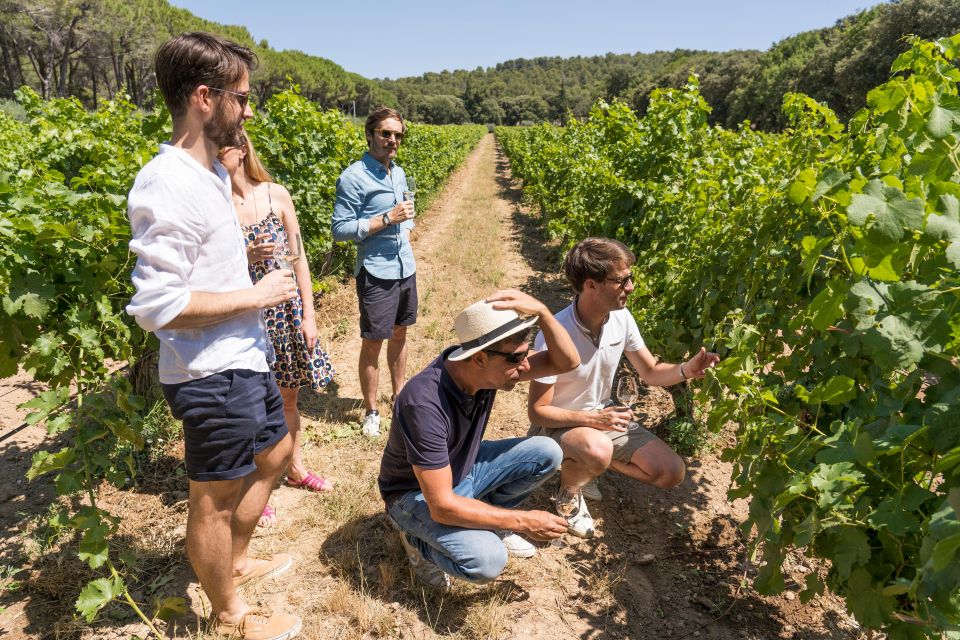 From Marseille: Bandol and Cassis Wine Tasting Tour - Inclusions