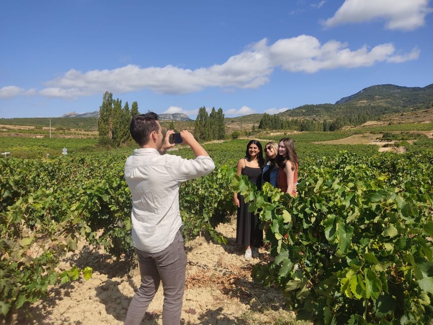 From Pamplona or Logroño: Rioja Wineries Day Trip W/ Tasting - Pricing and Duration