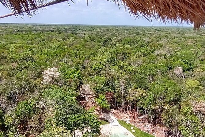 From Playa Del Carmen: Maya Adrenaline - 1 KM ZIPLINE - Preparation and Expectations