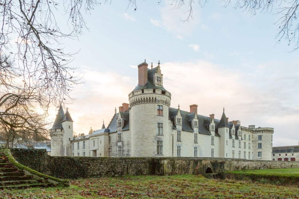 From Poitiers: Private Visit to the Castle of Dissay - Itinerary
