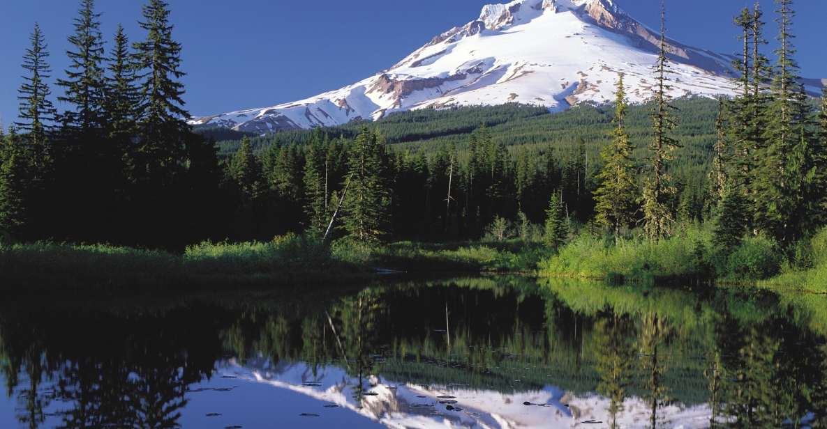 From Portland: Columbia Gorge Waterfalls and Mt. Hood Tour - Activity Description and Inclusions