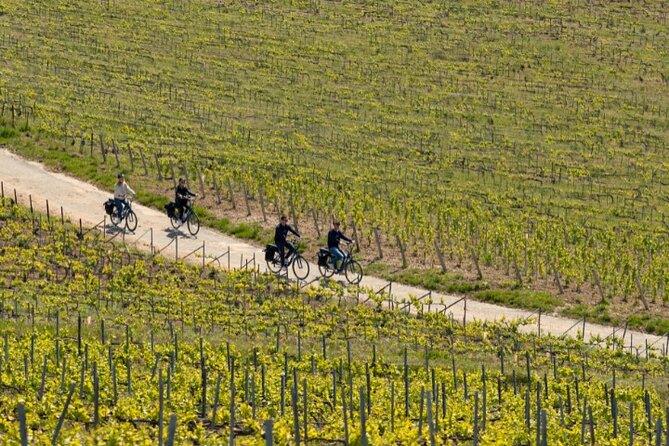 From Reims Afternoon E-Bike Tour, Visit and Champagne Tastings - Group Size and Operator Information