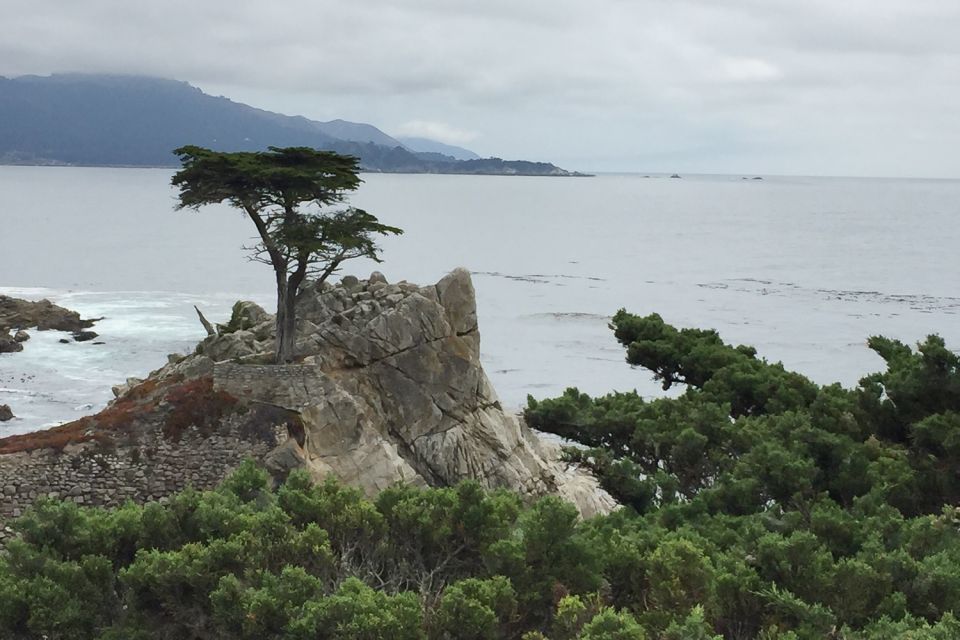 From San Francisco: Carmel, Monterey & Big Sur Private Tour - Activity Details