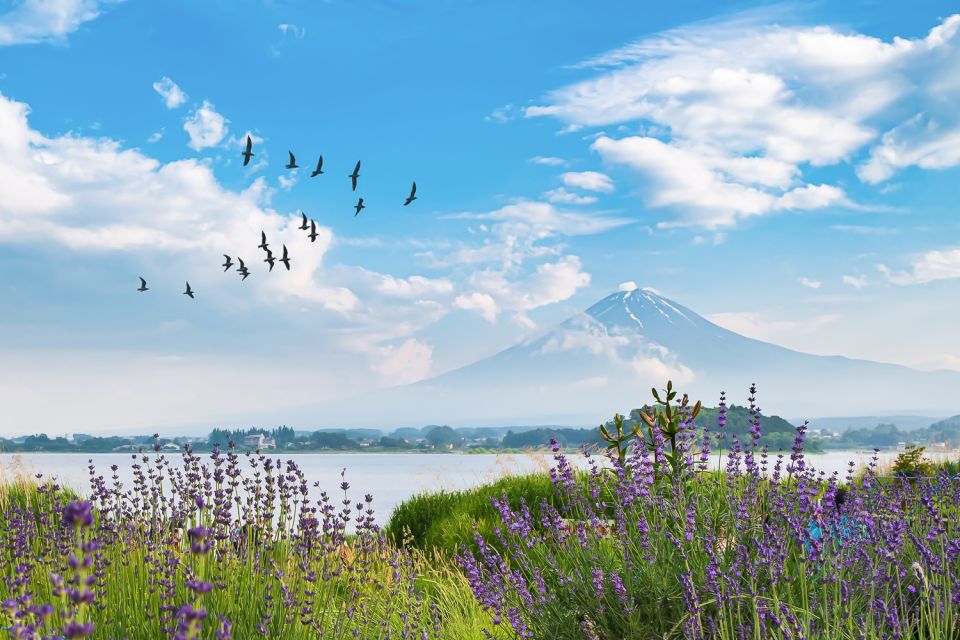 From Tokyo: 1-Day Private Mt. Fuji Tour by Car - Review Ratings
