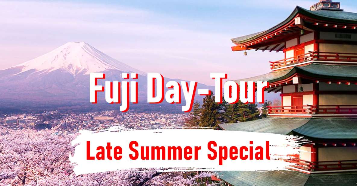 From Tokyo: 10-hour Mount Fuji Private Customizable Tour - Experience