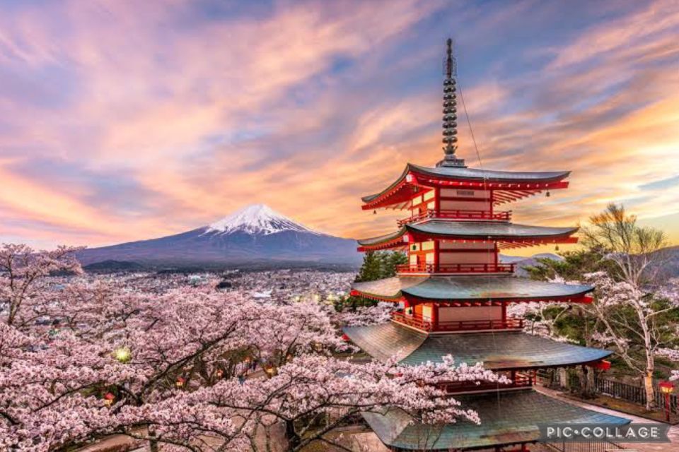 From Tokyo/Hakone/Fuji: Hakone & Mt. Fuji Day Trip W/Pickup - Experience Highlights