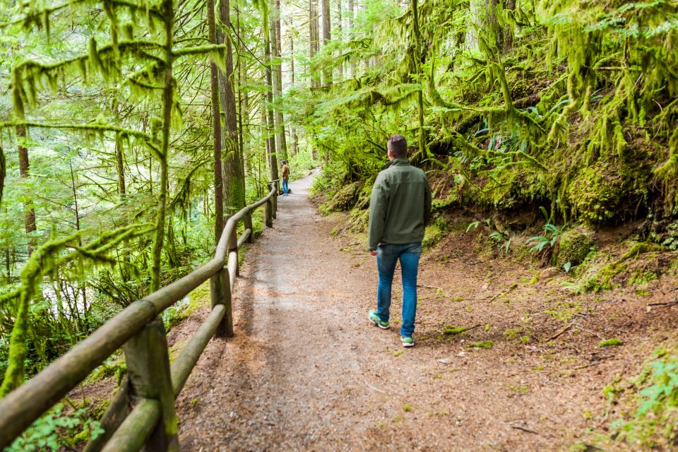 From Vancouver: Grouse Mountain & Capilano Suspension Bridge - Itinerary