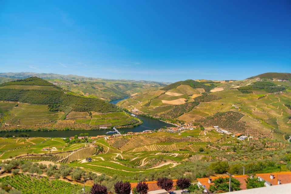 Full-Day Douro Wine Tour With Lunch and River Cruise - Tour Highlights