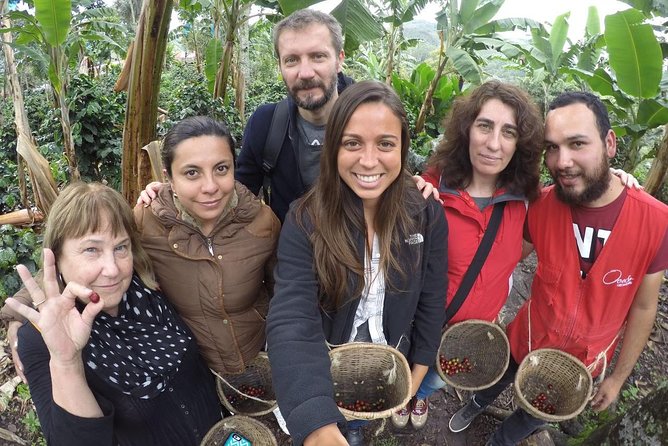 Full-Day Private Coffee Tour in Cocora Valley and Salento - Customer Feedback