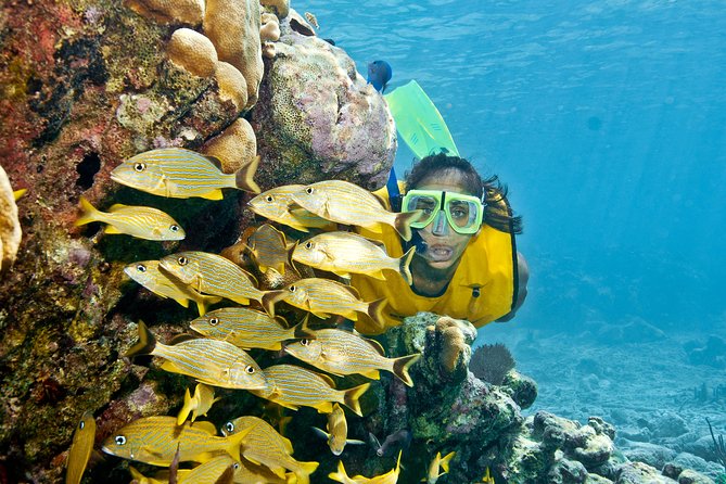 Full-Day Snorkel Extreme Adventure Tour From Riviera Maya - Tour Activities