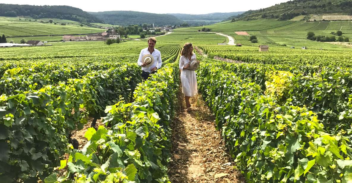 Full Day : the Most of Burgundy With Lunch From Dijon/Beaune - Cancellation Policy and Booking Flexibility