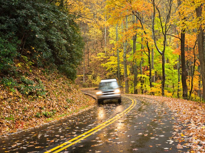 Great Smoky Mountains: Self-Guided Audio Driving Tour - Tour Features