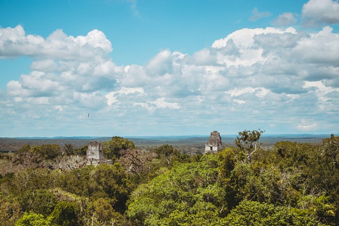 Guided All-Day Private Tour of Tikal National Park  - Flores - Itinerary Highlights