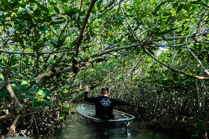 Guided Clear Kayak Eco-Tour Near Key West - Kayak Experience