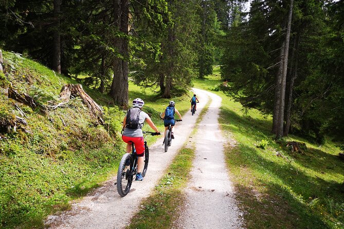 Guided E-Bike Tour of the Alpine Pastures in the Salzkammergut - Traveler Recommendations and Reviews