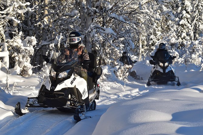 Guided Fairbanks Snowmobile Tour - Safety Measures and Training