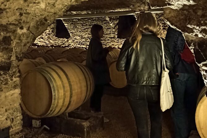 Half-Day Guided Tour With Tasting of Beaujolais Wines - Itinerary Highlights