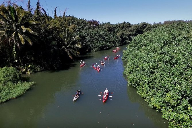 Hanalei Bay AM Kayak and Snorkel Tour - Logistics Details